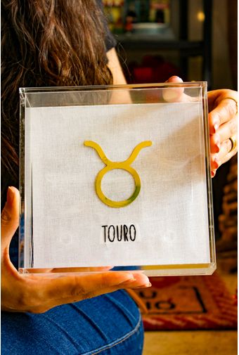 Quadro Acrilico Touro Mimo Galeria